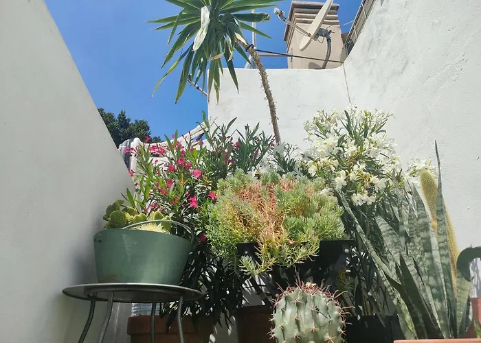 Terrace&3 floors flat in Center