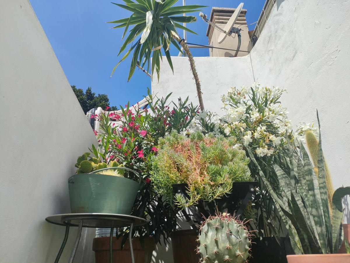 Historic Center Private Terrace * Málaga